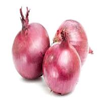 Onion