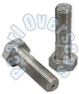 Stainless Steel Bolts