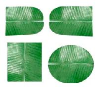 Artificial Banana Leaves