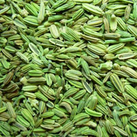 Premium Quality Fennel Seeds