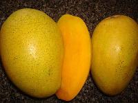 Fresh Alphonso Mango