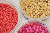 seed coating