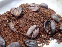 Brown Coffee Powder