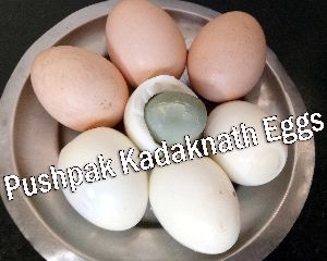 Kadaknath Poultry Eggs