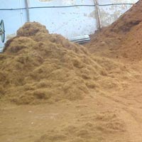 Coco Peat Raw Material