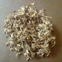 Stylo Hamata Grass Seed