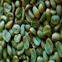 Green Coffee Beans