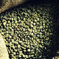 Green Coffee Beans