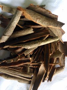 Cinnamon Bark