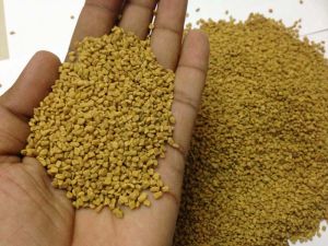 Fenugreek Seed