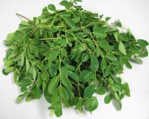 Moringa Leaves