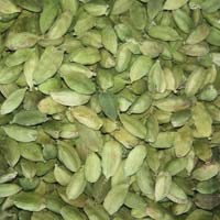 Organic Cardamom