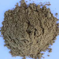 coriander seed  powder
