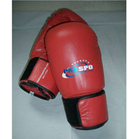 Fight Glove