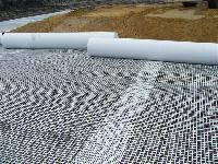 Geogrid