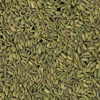 Fennel Seeds