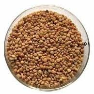 Guar Gum Seed