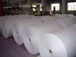 Offset paper