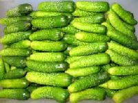 Fresh Gherkins