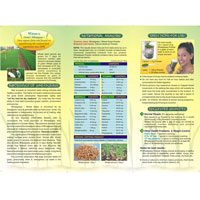 Organic WHEAT GRASS Powder Tablets Capsule