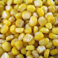 Yellow Maize Seeds