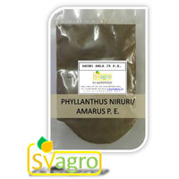 Bhumi Amla Extract