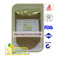 Chikoo Extract Powder