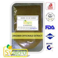 Ginger Root Extract