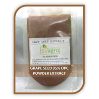 Grape Seed Extract