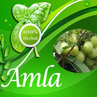 Herbal Supplement - Amla Capsule
