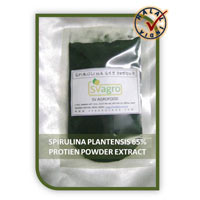 Spirulina Extract Powder