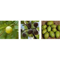 Triphala Extract