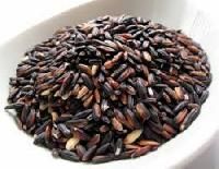 Black Rice