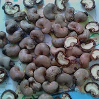 Raw Cashewnuts