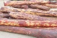 Red Sanders Wood