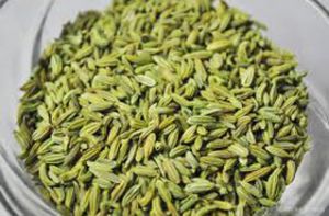 Fennel Seeds