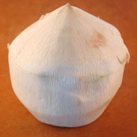 Trimmed Coconut