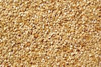 Hulled Sesame Seeds