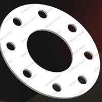 PTFE Gasket