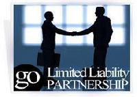 Limited Liability Partnership Consultant