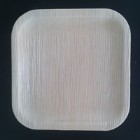 Areca Plates