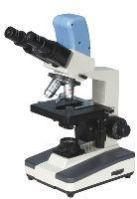 biological microscopes