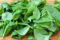 Fresh Spinach