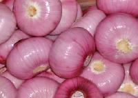 Onion