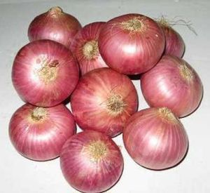 Onion