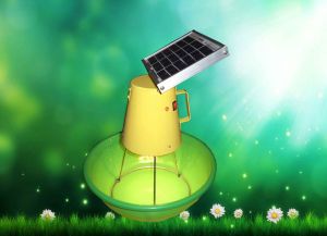 Solar Insect Light Trap