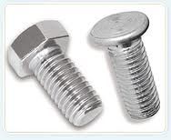 Stainless Steel Bolt