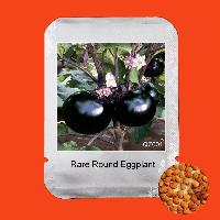 Brinjal Seed