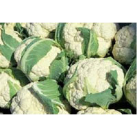 Cauliflowers