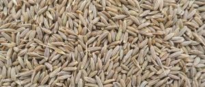 Cumin Seeds